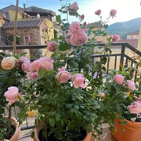 Apartment Delle Chiuse *